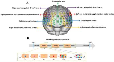 Cortical activation in elderly patients with Alzheimer’s disease dementia during working memory tasks: a multichannel fNIRS study